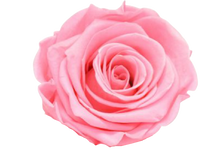 Carica l'immagine nel visualizzatore di Gallery, Rosa classica vari colori - Taglia S