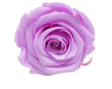 Carica l'immagine nel visualizzatore di Gallery, Rosa classica vari colori - Taglia S