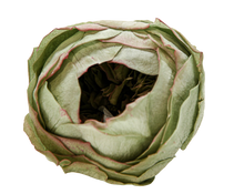Carica l'immagine nel visualizzatore di Gallery, Peonia in vari colori - Taglia unica