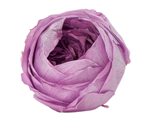 Carica l'immagine nel visualizzatore di Gallery, Peonia in vari colori - Taglia unica