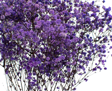 Carica l'immagine nel visualizzatore di Gallery, Gypsophila in vari colori