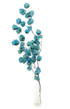 Carica l'immagine nel visualizzatore di Gallery, Bougainvillea di vari colori