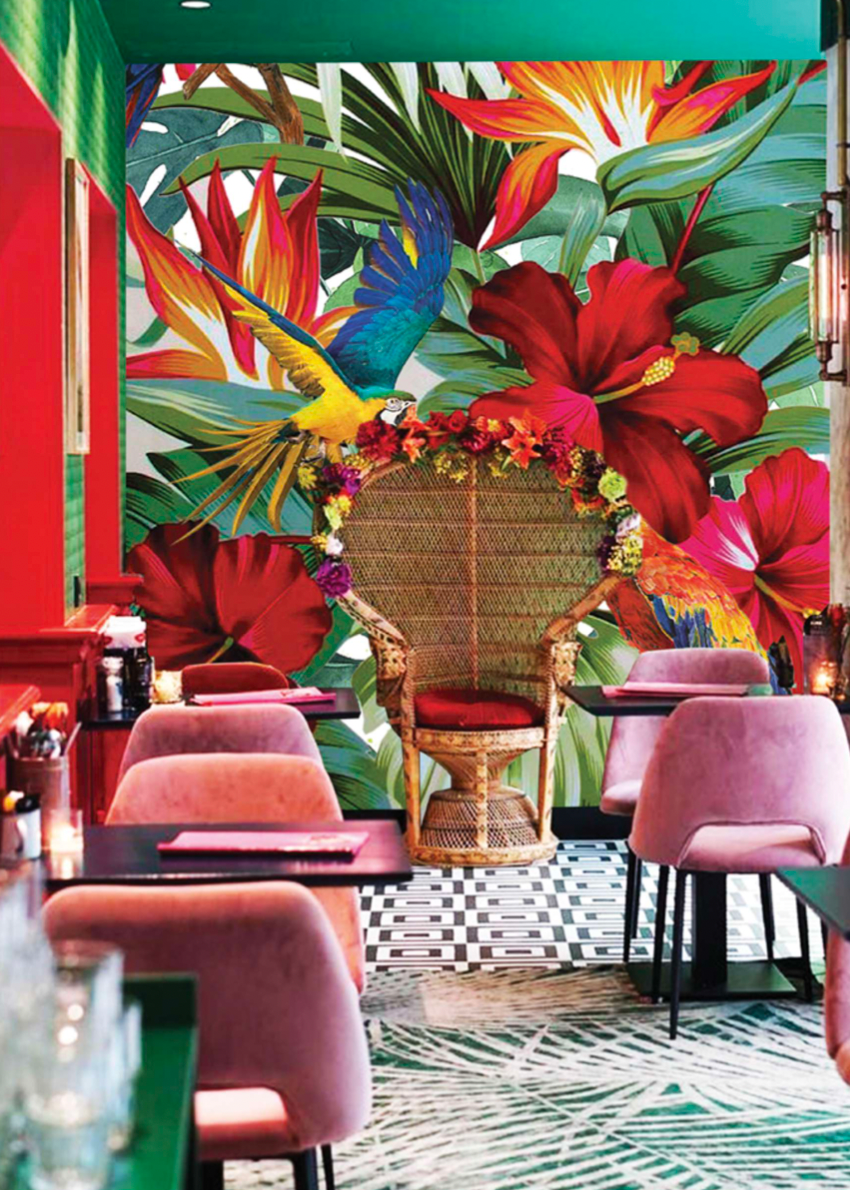 Tropicus Hawaii