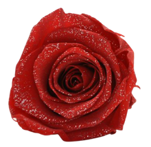 Carica l&#39;immagine nel visualizzatore di Gallery, Rosa classica rossa con glitter - Taglia L
