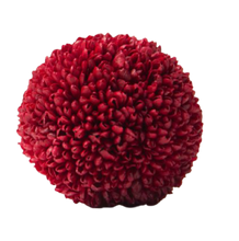 Carica l&#39;immagine nel visualizzatore di Gallery, Crisantemo sfera in vari colori - Taglia M
