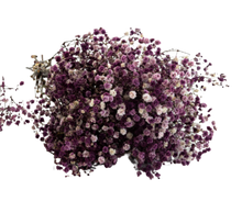 Carica l&#39;immagine nel visualizzatore di Gallery, Gypsophila in vari colori
